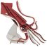 3D Papiermodell - Tintenfisch FR-11743 Fridolin 1