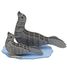 3D Papiermodell - Seehunde FR-11748 Fridolin 1