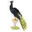 3D Papiermodell - Pfau FRI-11754 Fridolin 1