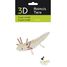 3D Papiermodell - Axolotl FR-11755 Fridolin 2