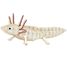 3D Papiermodell - Axolotl FR-11755 Fridolin 1
