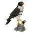 3D Papiermodell - Falke FRI-11766 Fridolin 2