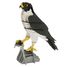 3D Papiermodell - Falke FRI-11766 Fridolin 1