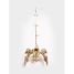 Trimaran Merihobus Mechanische Modell Bausatz U-70059 Ugears 4