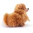 Plüsch Pomeranian-Hund 22 cm TRU-22347 Trudi 2