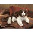 Handpuppe Wuschelige Katze FO-2558 Folkmanis 3