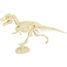 Paläontologie-Kit - Tyrannosaurus UL2820 Ulysse 3
