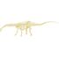 Paläontologie-Kit - Diplodocus UL2824 Ulysse 4