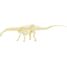 Paläontologie-Kit - Diplodocus UL2824 Ulysse 3