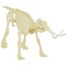 Paläontologie-Kit - Mammut UL2826 Ulysse 3