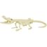 Paläontologie-Kit - Crocodile UL2828 Ulysse 3