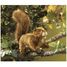 Handpuppe Eichhörnchen FO-2880 Folkmanis 3