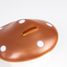 Sparschwein in Pilzform Kupfer EG314710 Egmont Toys 2
