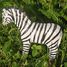 Figur Zebra aus Holz WU-40452 Wudimals 2