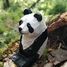 Figur Panda aus Holz WU-40705 Wudimals 2
