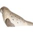 Figur Seehund aus Holz WU-40808 Wudimals 1