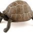 Schildkrötenfigur PA50013-2906 Papo 2