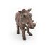 Warzenschwein-Figur PA50180-5208 Papo 4