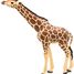 Giraffenfigur mit erhobenem Kopf PA50236 Papo 6