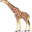 Giraffenfigur mit erhobenem Kopf PA50236 Papo 1