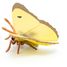 Gelbe Ringelblumen-Schmetterlingsfigur PA-50288 Papo 4