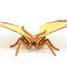 Gelbe Ringelblumen-Schmetterlingsfigur PA-50288 Papo 6