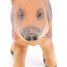 Wildschweinfigur PA-50289 Papo 2