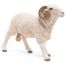 Widder-Figur PA51129 Papo 4