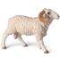 Widder-Figur PA51129 Papo 1