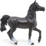 Arabische Pferdefigur PA51505-2917 Papo 2