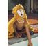 Kapuzenbadetuch 70x130cm - Mr Lion TX-11-851 Trixie 6