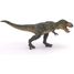 Grüne laufende T-Rex-Figur PA55027 Papo 4