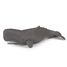 Pottwal Figur PA56021 Papo 2