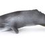 Pottwal Figur PA56021 Papo 1