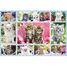 Puzzle Katzenbabys 100 Teile S-56135 Schmidt Spiele 3