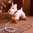 Nachzieh-Hund Lola EG591036 Egmont Toys 5