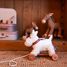 Nachzieh-Hund Lola EG591036 Egmont Toys 6