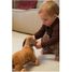 Nachzieh-Hund Edward EG591038 Egmont Toys 10