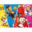 Puzzle Die bunte Paw Patrol 60 Teile N86186 Nathan 2