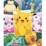 Puzzle Arten von Pokémon 250 Teile N868827 Nathan 2