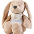 Nachtlicht Kuscheltier Kaninchen Sleepy - beige NA876582 Nattou 2