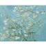 Mandelblüt von Van Gogh A610-80 Puzzle Michele Wilson 2