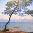 Cap d'Antibes von Monet A743-80 Puzzle Michele Wilson 2