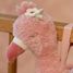 Spieluhr Flamingo Safari Friends LD8306 Little Dutch 3