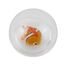 Wasserball Clownfisch B38012 Bass & Bass 6