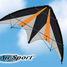 Sportlenkdrachen Air Sport Synergy 125 GX GU-1028 Günther 3