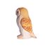 Figur Schleiereule aus Holz WU-41008 Wudimals 1