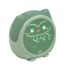 Owlie Lernwecker Cloudb-1300-SO Cloud b 1