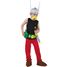 Kostüm für Kinder Asterix 128 cm CHAKS-C4193128 Chaks 1
