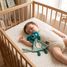 Babytröster Berlingos der Koala DE36737 Les Déglingos 4